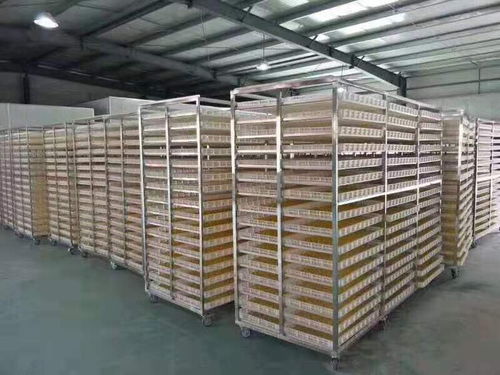 休宁县新款惠诚食品烘干机厂家 矿山与建筑设备仓储的高效解决方案